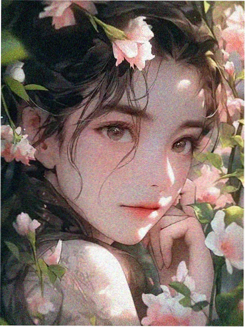 新片封面